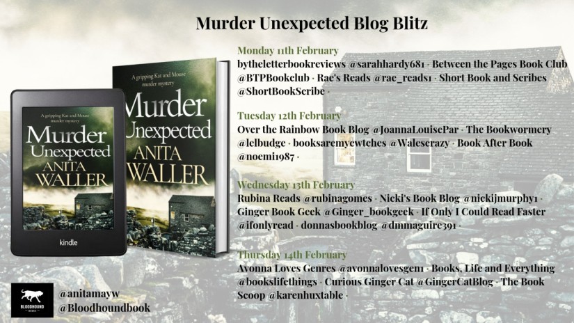 murder unexpected blog blitz banner