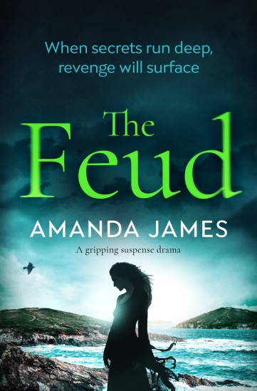 Amanda James - The Feud_cover_high res
