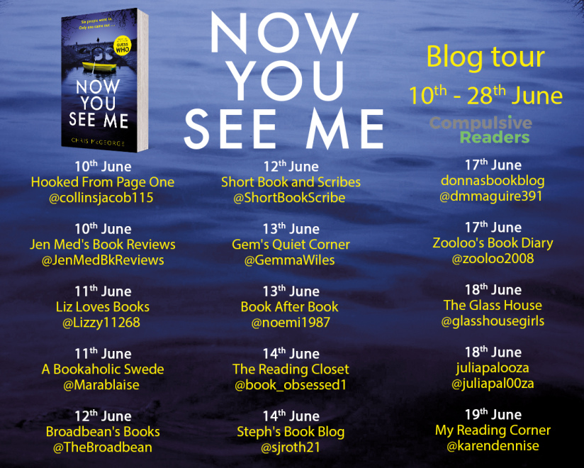 Now you See me blog tour 1